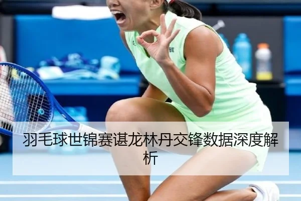 羽毛球世锦赛谌龙林丹交锋数据深度解析